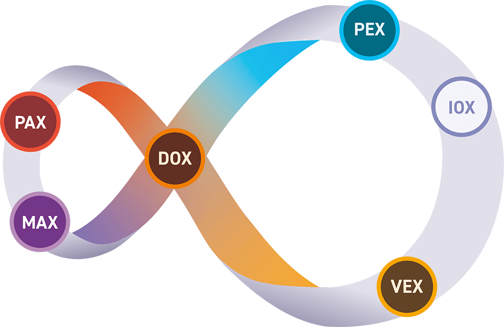 Eine grafische Darstellung einer Schleife mit den Begriffen DOX, PAX, MAX, PEX, IOX und VEX in verschiedenen Farben.